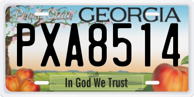 GA license plate PXA8514