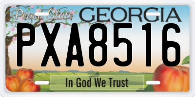 GA license plate PXA8516