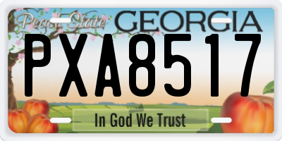 GA license plate PXA8517