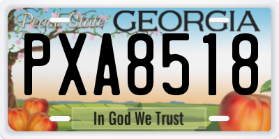 GA license plate PXA8518