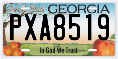 GA license plate PXA8519