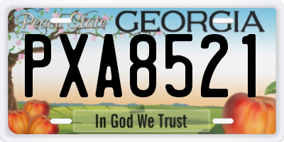 GA license plate PXA8521