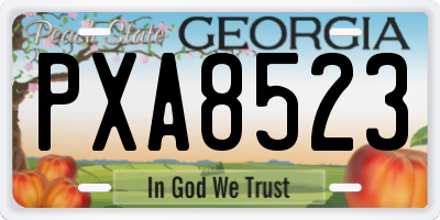 GA license plate PXA8523