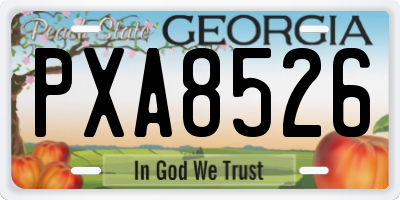 GA license plate PXA8526