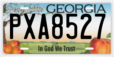 GA license plate PXA8527