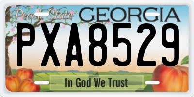 GA license plate PXA8529