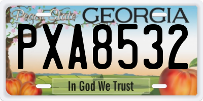 GA license plate PXA8532