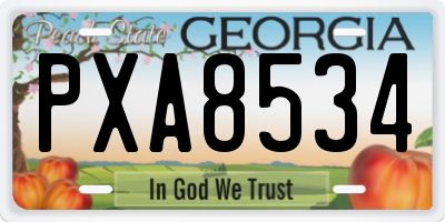 GA license plate PXA8534