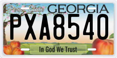 GA license plate PXA8540