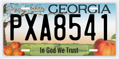 GA license plate PXA8541