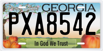 GA license plate PXA8542