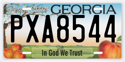 GA license plate PXA8544