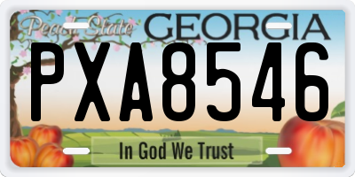 GA license plate PXA8546
