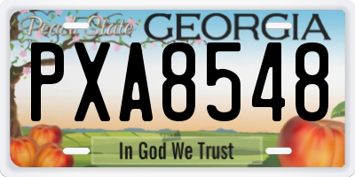 GA license plate PXA8548