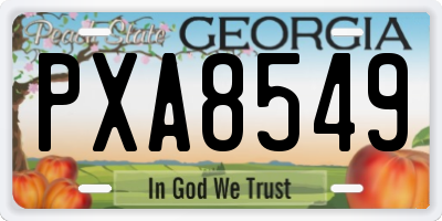 GA license plate PXA8549