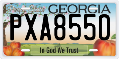 GA license plate PXA8550