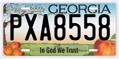 GA license plate PXA8558