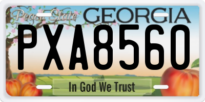 GA license plate PXA8560