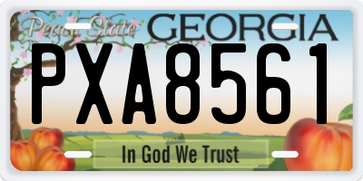 GA license plate PXA8561