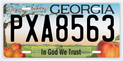 GA license plate PXA8563