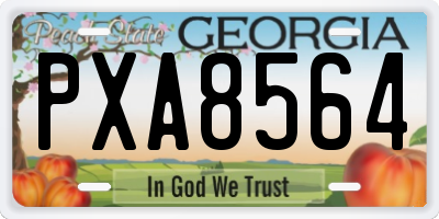 GA license plate PXA8564