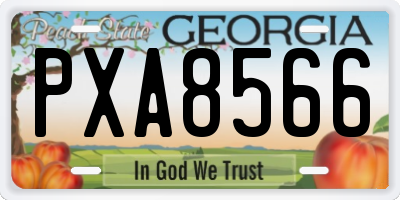 GA license plate PXA8566