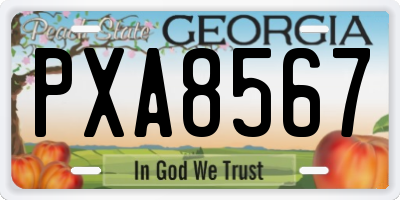 GA license plate PXA8567