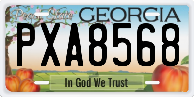 GA license plate PXA8568