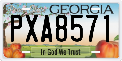 GA license plate PXA8571