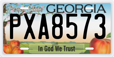GA license plate PXA8573