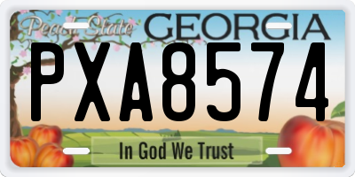 GA license plate PXA8574