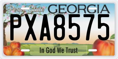 GA license plate PXA8575