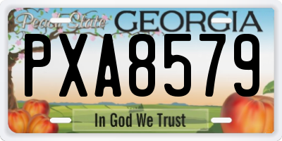 GA license plate PXA8579