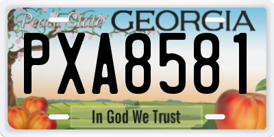 GA license plate PXA8581