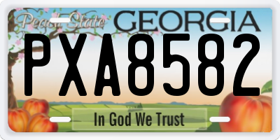 GA license plate PXA8582