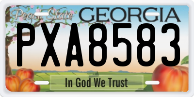 GA license plate PXA8583