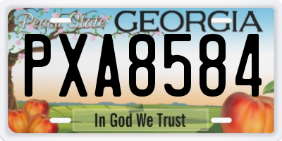 GA license plate PXA8584