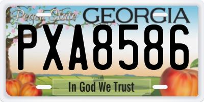 GA license plate PXA8586