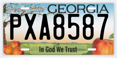 GA license plate PXA8587