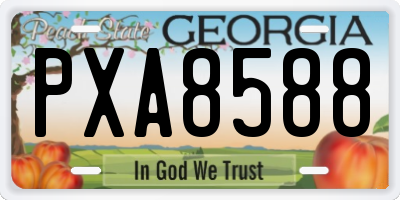 GA license plate PXA8588