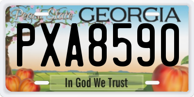 GA license plate PXA8590