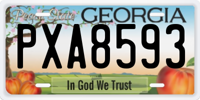 GA license plate PXA8593