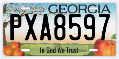 GA license plate PXA8597
