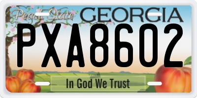 GA license plate PXA8602