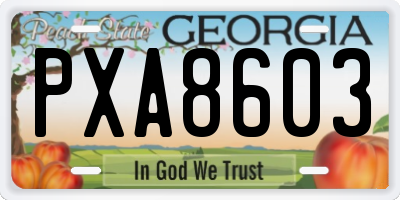 GA license plate PXA8603