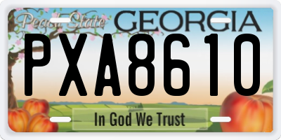 GA license plate PXA8610
