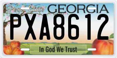GA license plate PXA8612