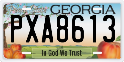 GA license plate PXA8613