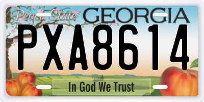 GA license plate PXA8614