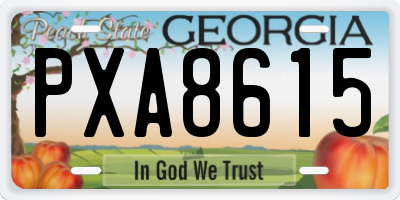 GA license plate PXA8615